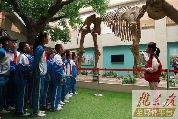 【第一眼】慶陽市博物館開展多項(xiàng)活動(dòng)慶?！?·18國際博物館日”
