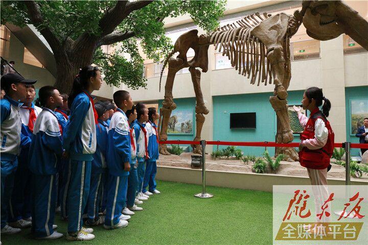 【第一眼】慶陽(yáng)市博物館開(kāi)展多項(xiàng)活動(dòng)慶?！?·18國(guó)際博物館日”