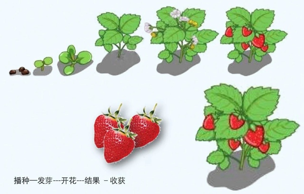 【防疫科普】如何利用園藝療法保持復(fù)工后身心健康？