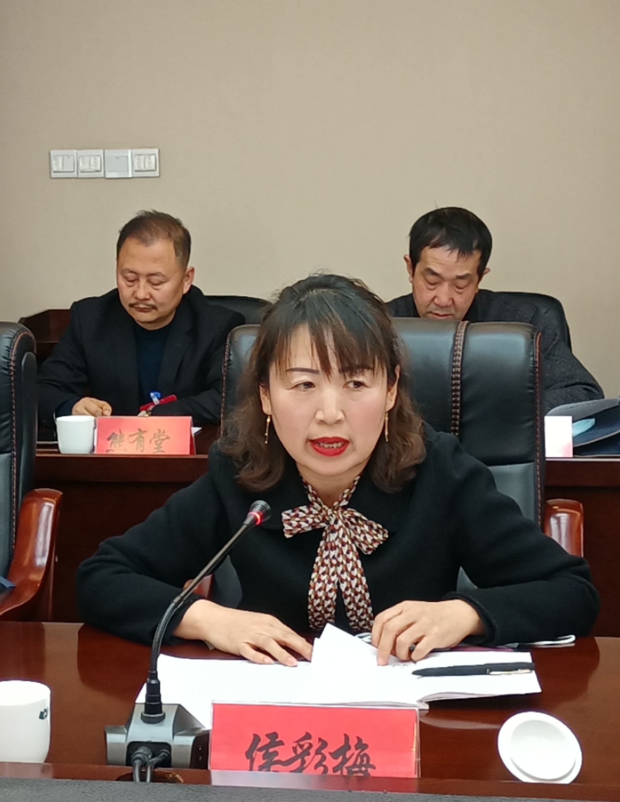 侯彩梅委員在討論發(fā)言時(shí)就規(guī)范農(nóng)村中小學(xué)體育教學(xué)提出了建議。