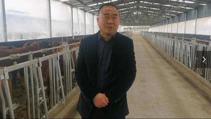 【脫貧攻堅我來見證】項祖地：讓“早勝?！逼放谱叱龈拭C  走向全國