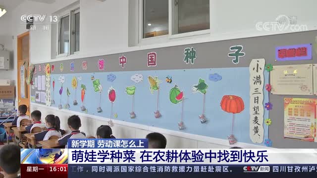 新學(xué)期，勞動(dòng)課怎么上？央視《新聞直播間》關(guān)注北師大慶陽附校農(nóng)耕體驗(yàn)課