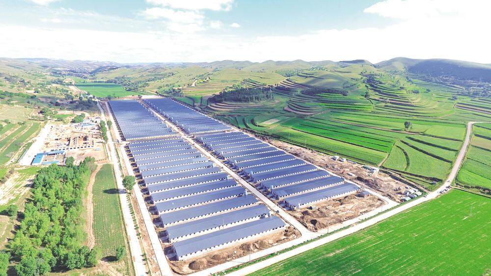環(huán)縣雙廟20萬只肉羊育肥場俯瞰，