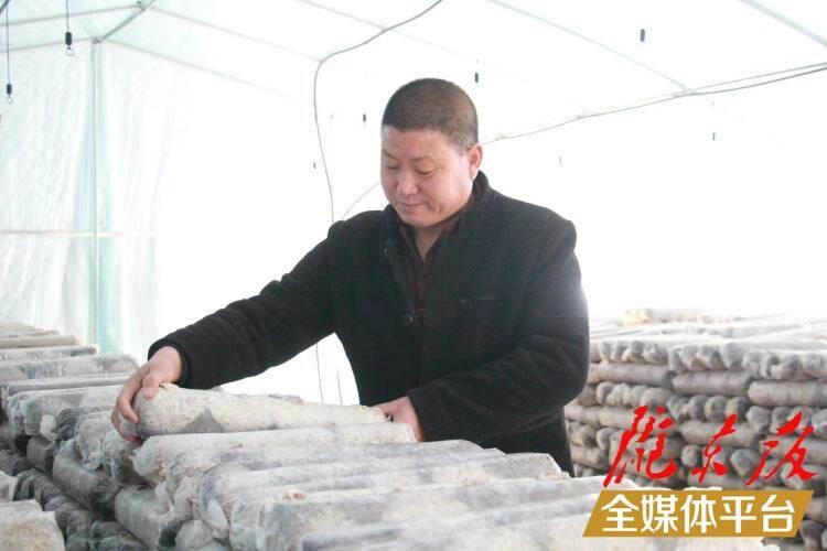 西峰區(qū)后官寨鎮(zhèn)司官寨村食用菌基地，工作人員在整理菌棒。本報(bào)記者 南力 攝