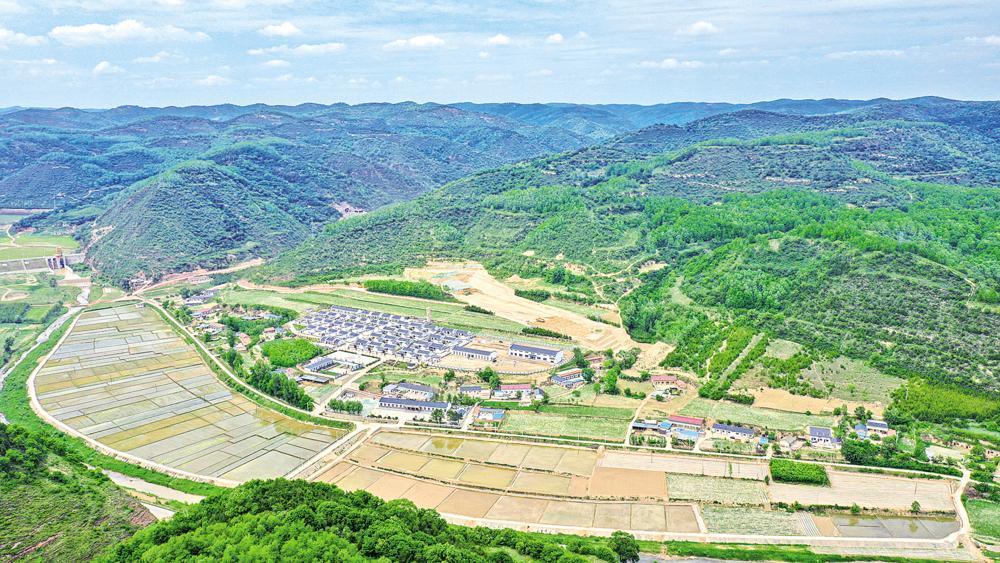 1200畝水稻扎根隴東黃土高原 預(yù)計今年產(chǎn)量可達(dá)75萬斤