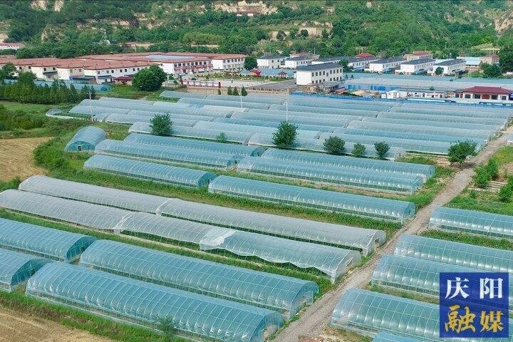 搶抓機(jī)遇再出發(fā) 錨定目標(biāo)不放松 ——慶城縣推動縣域經(jīng)濟(jì)高質(zhì)量發(fā)展紀(jì)實(shí)