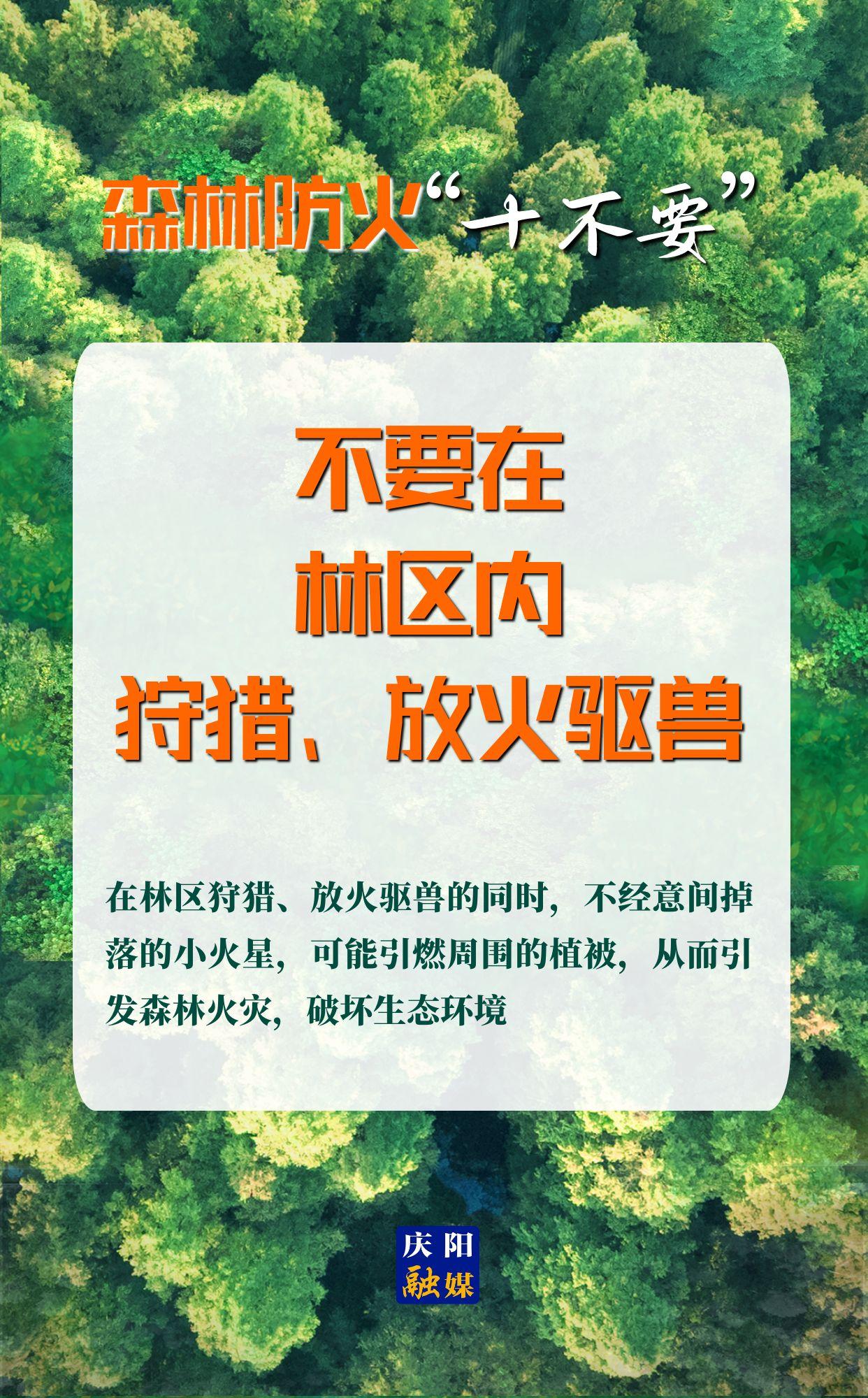 【微海報】森林防火“十不要”⑨丨不要在林區(qū)內(nèi)狩獵、放火驅(qū)獸