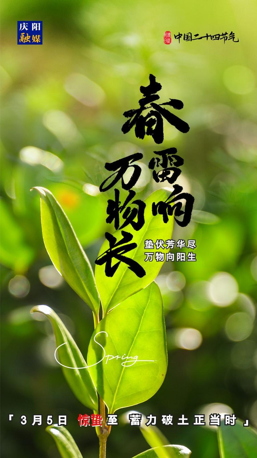 【微海報(bào)】二十四節(jié)氣丨驚蟄至，蓄力破土正當(dāng)時(shí)