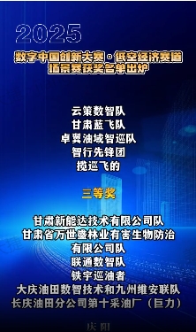 【V視】2025數(shù)字中國創(chuàng)新大賽·低空經濟賽道場景賽獲獎名單出爐