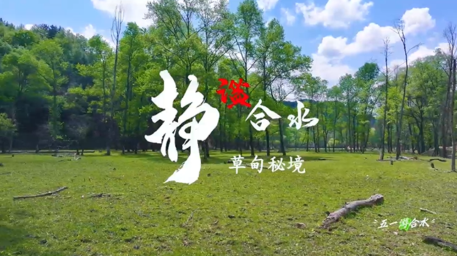 【五一游慶陽】靜謐合水︱合水縣太莪鄉(xiāng)草甸秘境等你來打卡！