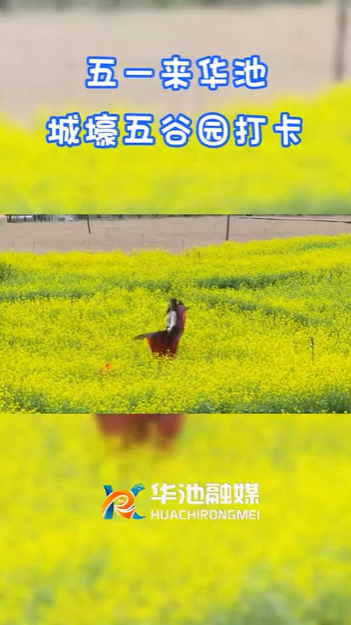 【五一游慶陽】歡迎來華池城壕五谷園打卡！！