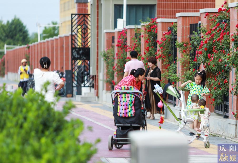 【攝影報道】薔薇花開！邂逅夏日的浪漫