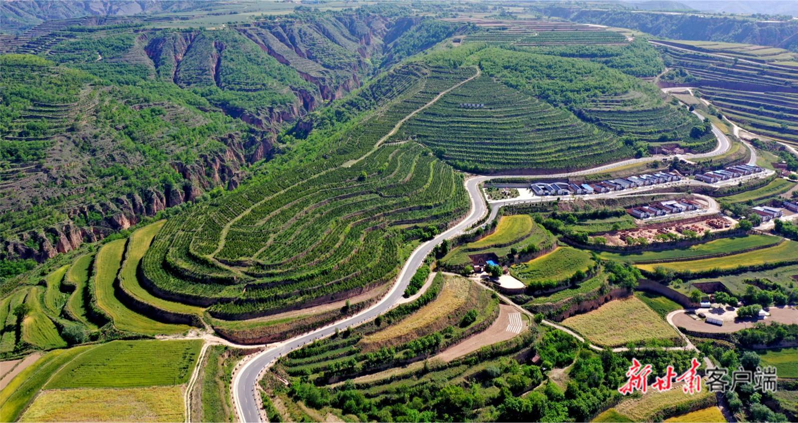 【建設(shè)美麗甘肅 推進(jìn)“三北”工程 構(gòu)筑“綠色長(zhǎng)城”】萬(wàn)里逐綠 譜寫(xiě)“三北”工程新篇章——甘肅以系統(tǒng)治理筑牢西部生態(tài)安全防線