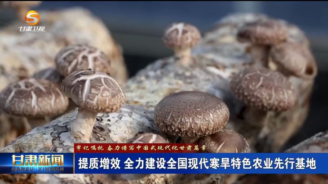 （牢記囑托 奮力譜寫(xiě)中國(guó)式現(xiàn)代化甘肅篇章）提質(zhì)增效 全力建設(shè)全國(guó)現(xiàn)代寒旱特色農(nóng)業(yè)先行基地