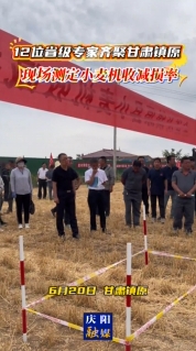 【V視】12位省級(jí)專家在鎮(zhèn)原現(xiàn)場測定小麥機(jī)收減損率
