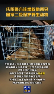 慶陽(yáng)警方連續(xù)救助兩只國(guó)家二級(jí)保護(hù)野生動(dòng)物