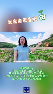 南梁鎮(zhèn)打造“我在南梁有塊田”體驗園，建成集種植、研學(xué)、觀光于一體的現(xiàn)代觀光農(nóng)業(yè)產(chǎn)業(yè)園，加快農(nóng)文旅融合，推動產(chǎn)業(yè)鏈不斷優(yōu)化升級